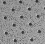 4275 Politape Semi punched 