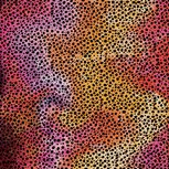 Cricut infusible transfer sheets Rainbow Cheetah