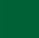 Politape Green PF404 25x20cm