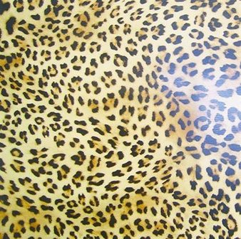 4281 Politape Leopard 20x25cm