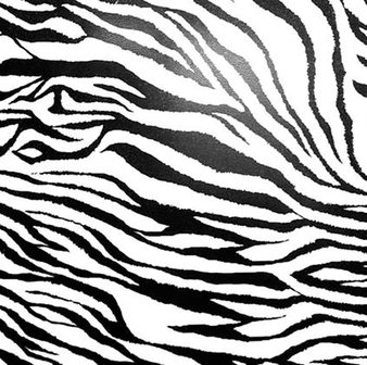 4282 Politape Zebra 