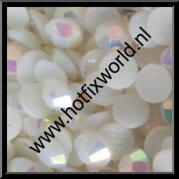 Resin ss6 wit AB 1000 stuks