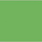  Siser Apple Green A0058